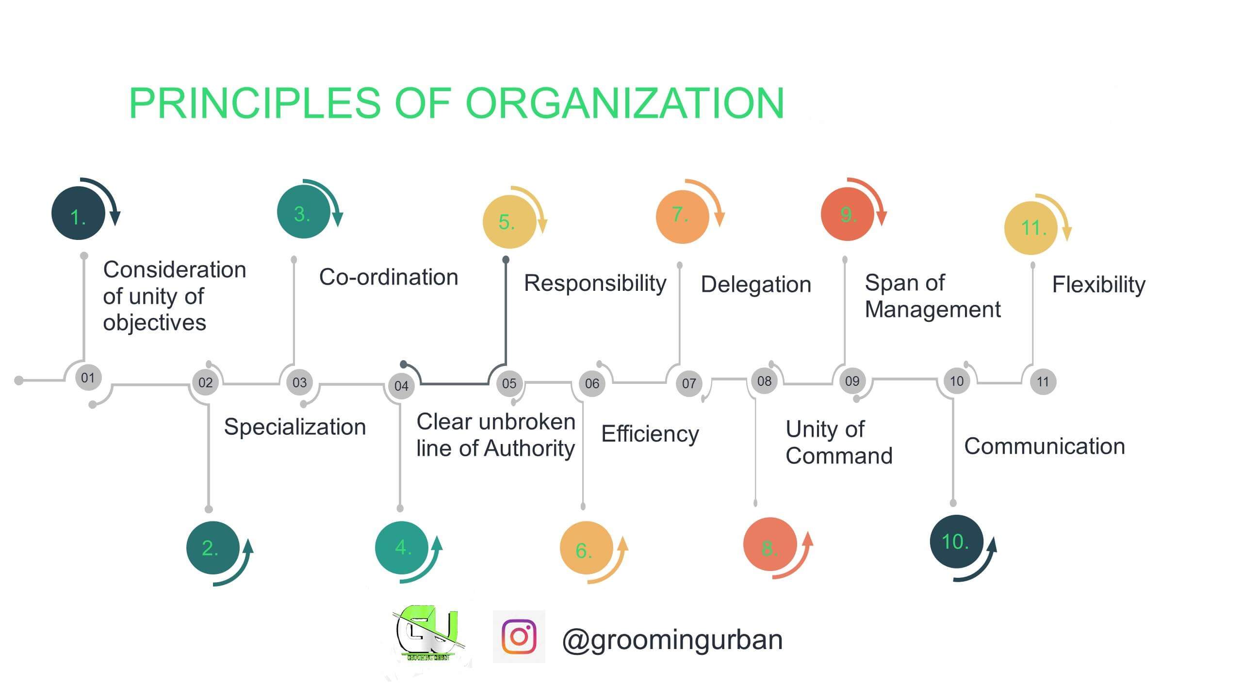 Organizing In Management - Grooming Urban